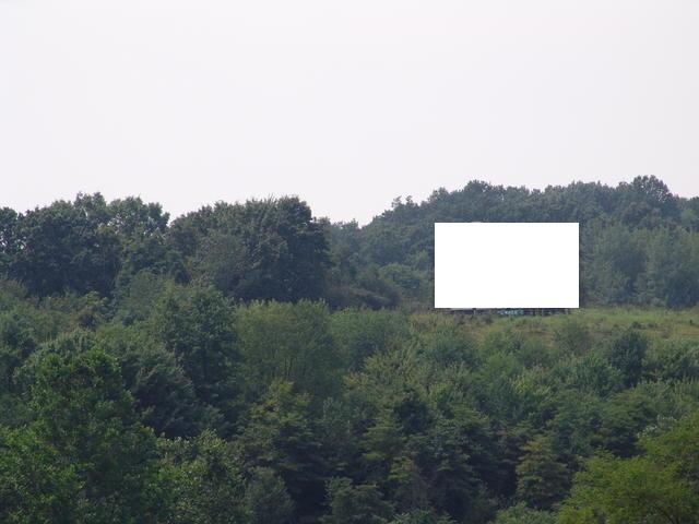Photo of a billboard in Byesville
