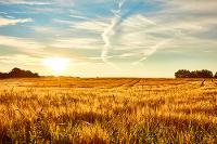 Bryan, Texas