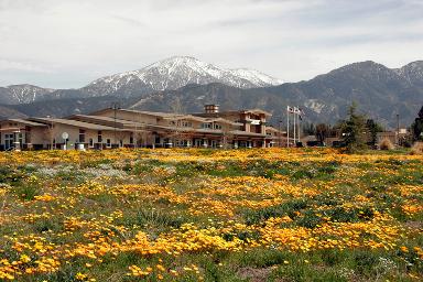 Yucaipa California billboards
