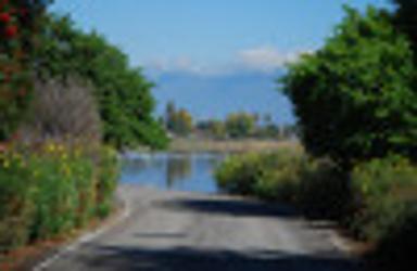 Pico Rivera California billboards