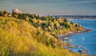 Shoreline Washington billboards